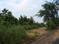 gal/08 - Last Moto Trip/_thb_RIMG1952.jpg